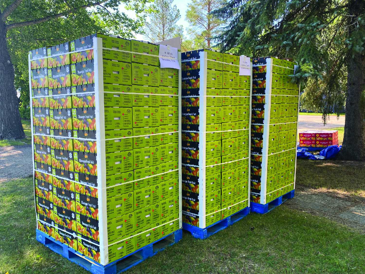 Just some of the cases of peaches from a previous peach fundraiser by Saskatchewan Gateway Parish.